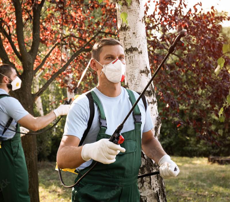 img-lawn-services-tree-spraying
