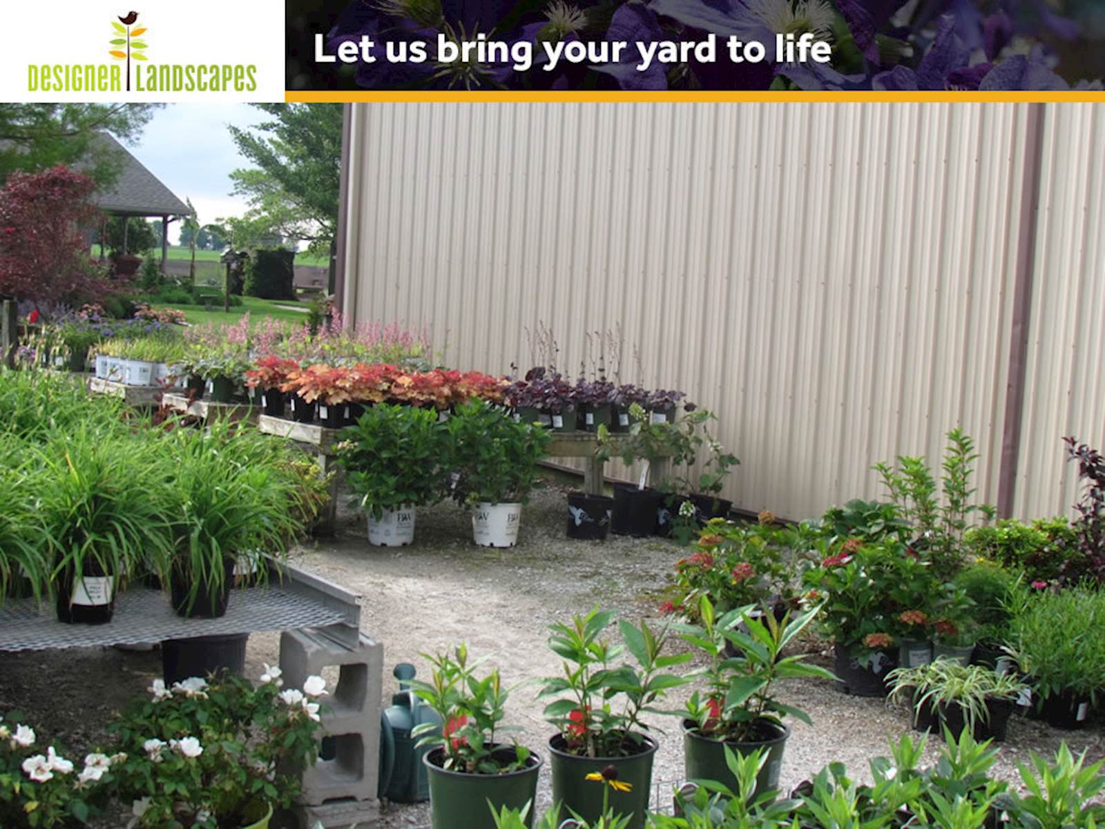 Call Designer Landscapes Today
