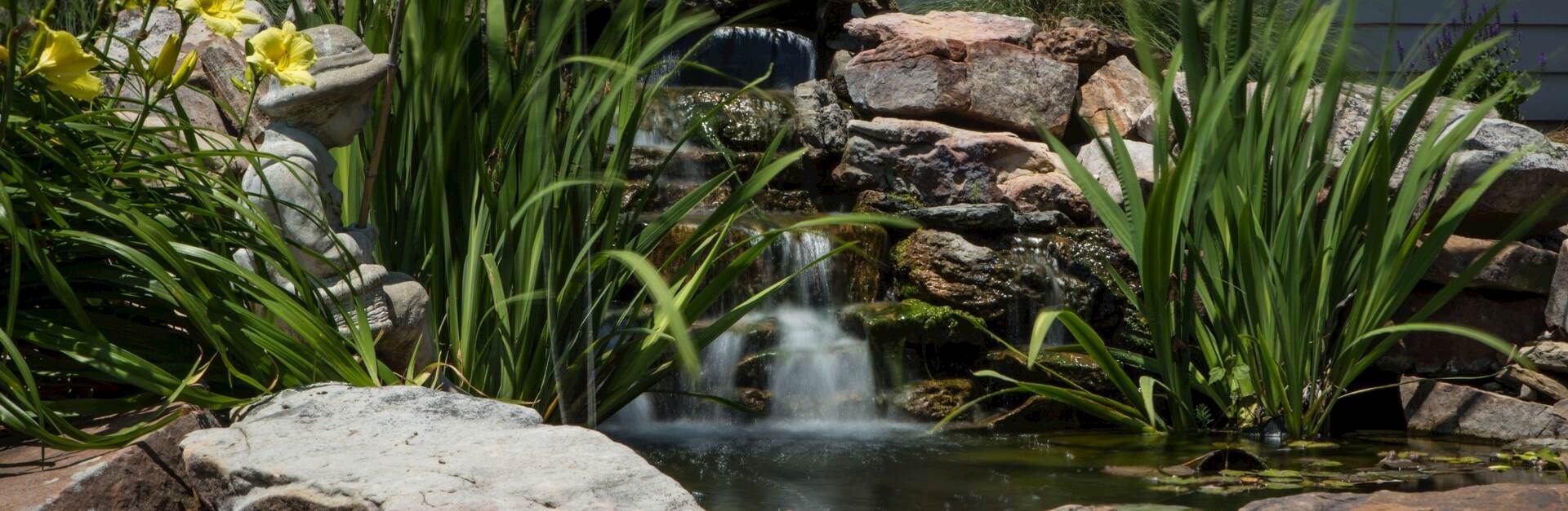 bubbling water feature pond with landscape rocks, green vegetation, and yellow daffodils