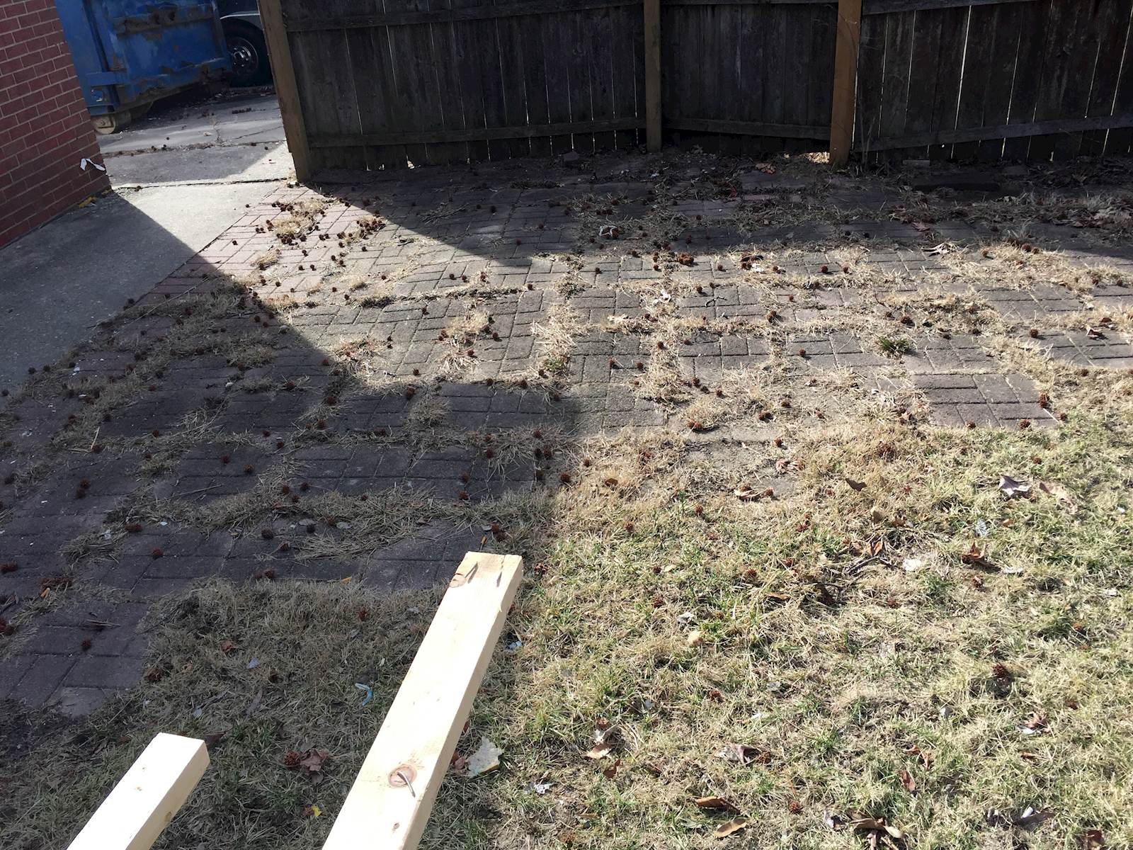 Photo of an old patio overgrown with grass 