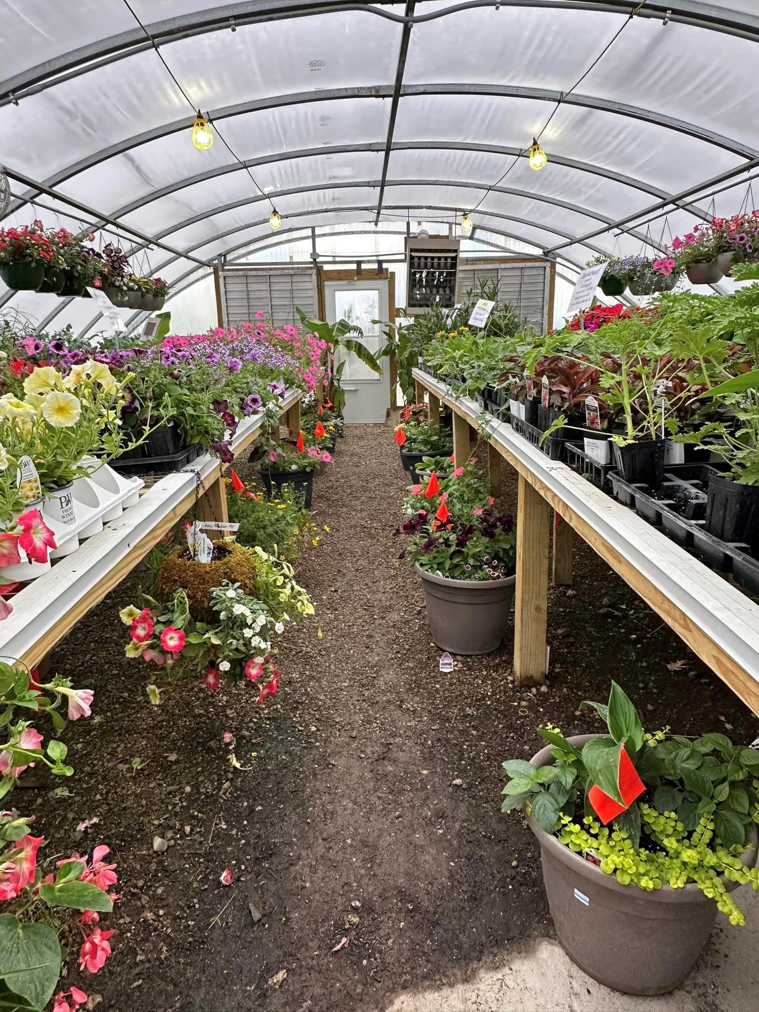 greenhouse