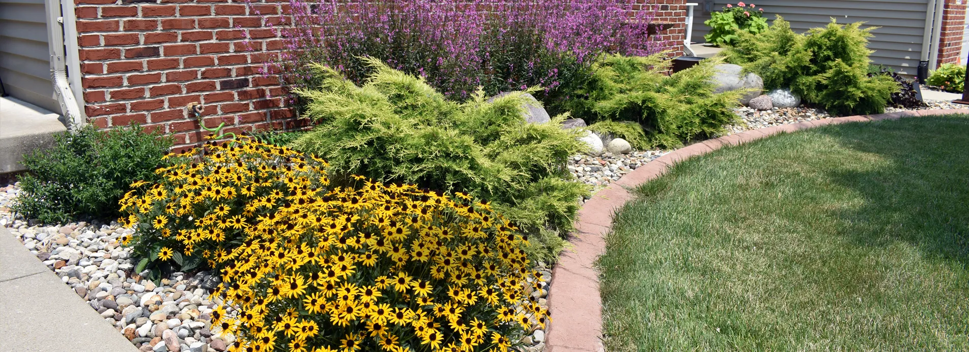 bnr-services-concrete-edging-2025.webp