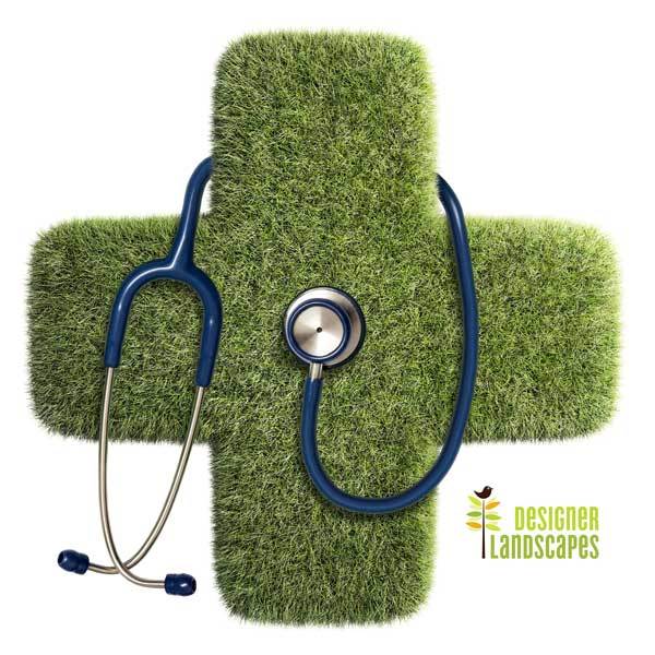 a parody graphic of the red cross covered in grass with a stethoscope 
