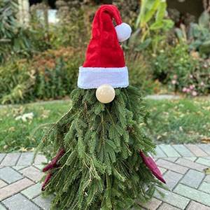 Christmas gnome made out of small evergreen tree.