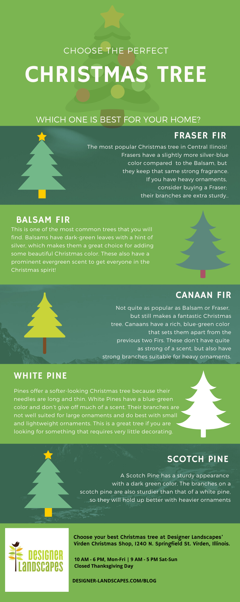 christmas tree infographic