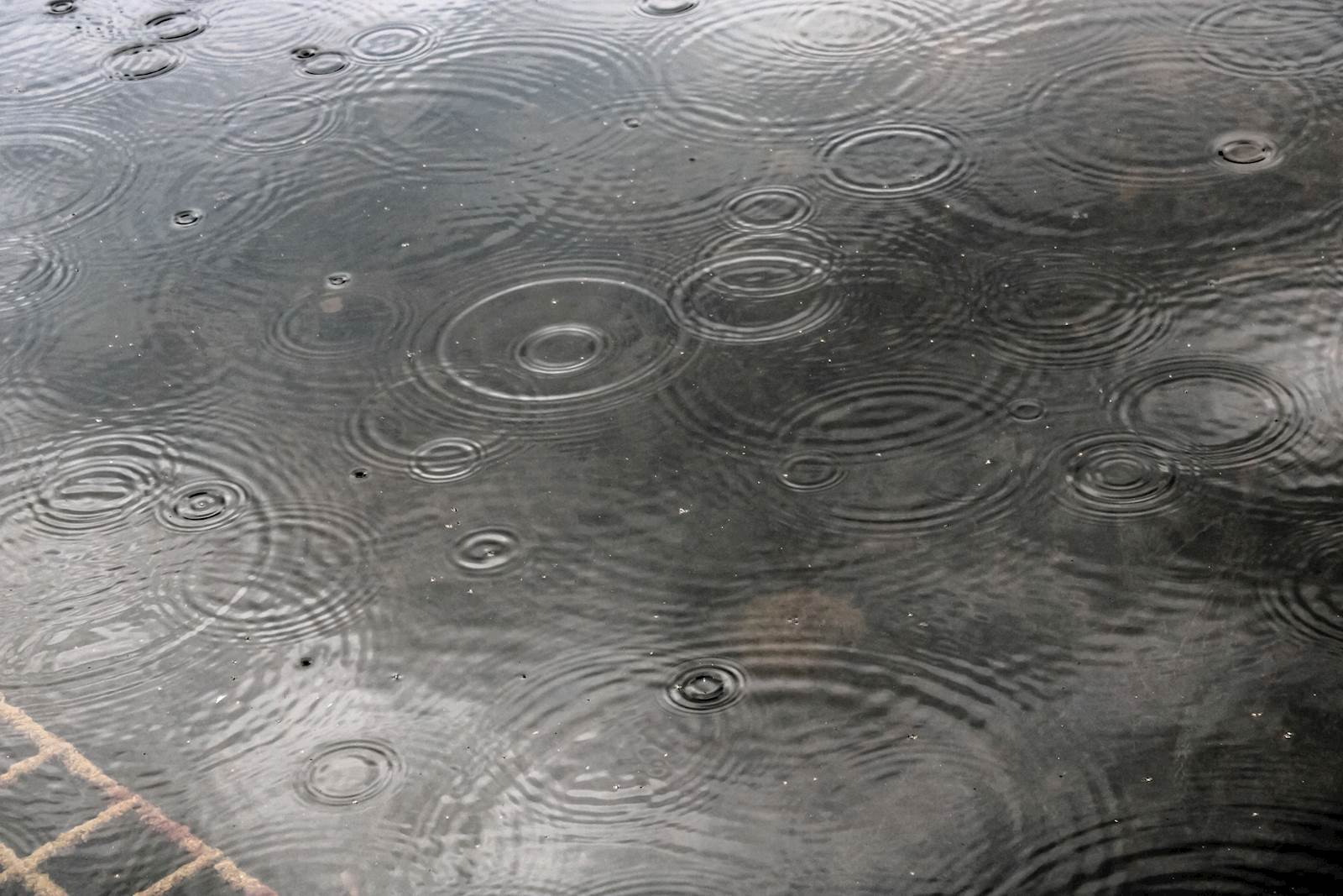raindrops on a pavement