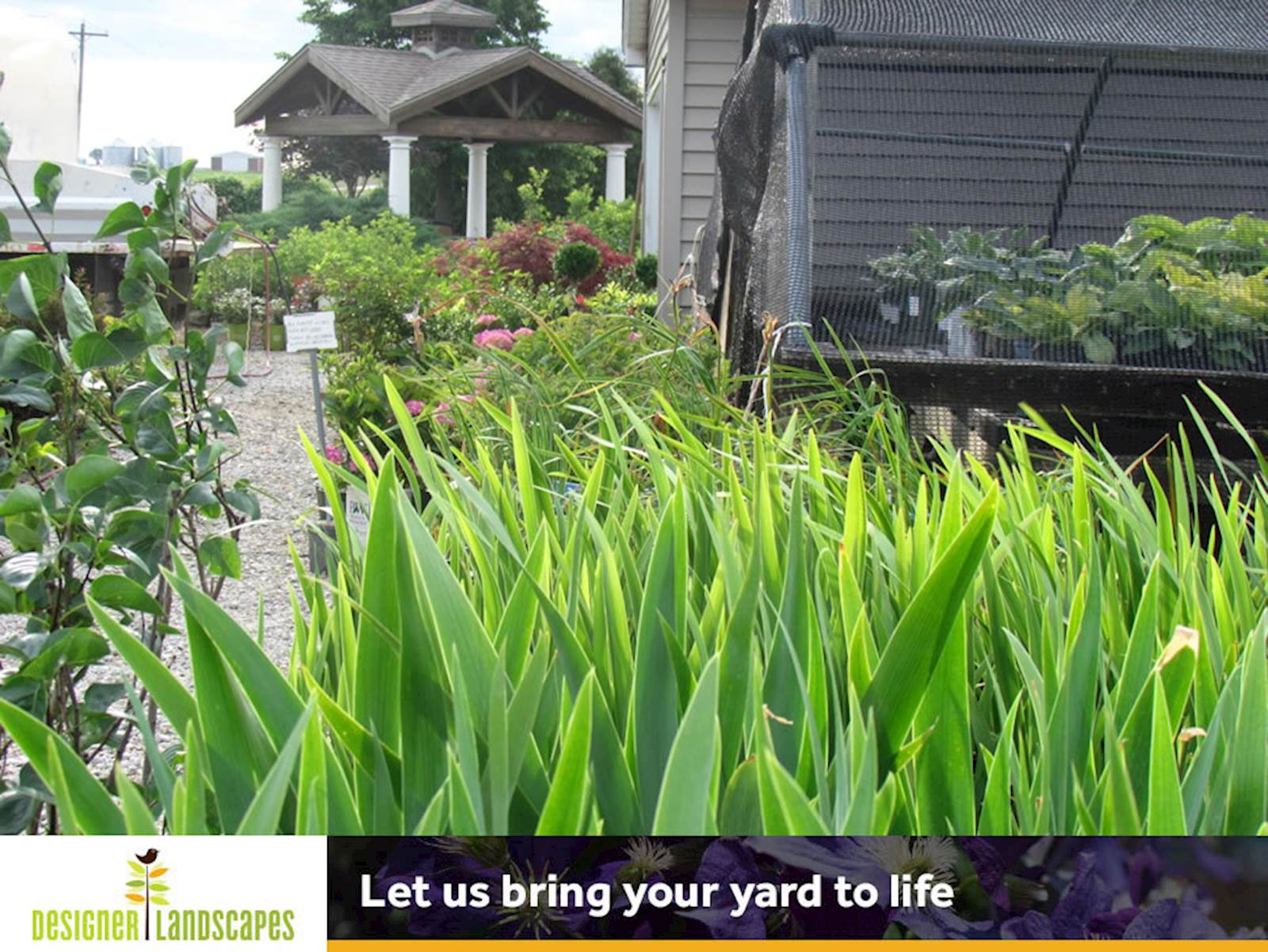 Call Designer Landscapes Today