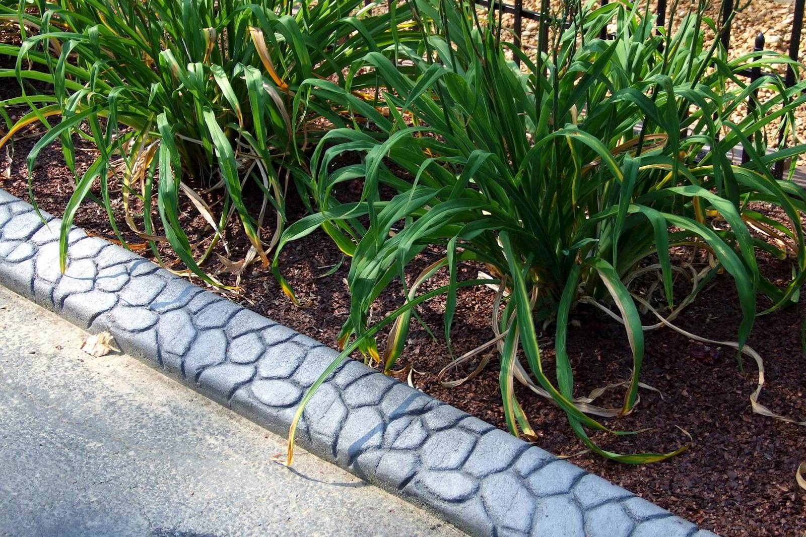 photo of a concrete edging border