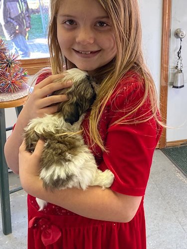 girl in a red dress holding a bunny.