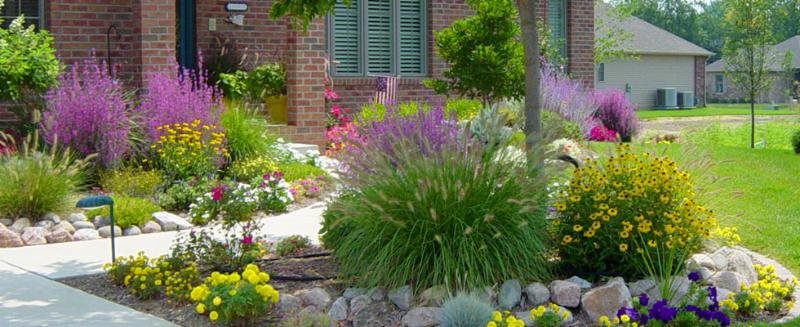 landscaped front yard