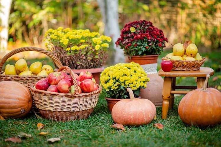 AdobeStock_297924643.jpg