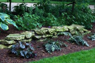 Shady Area Boulders