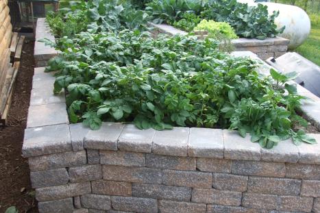 Raised Gardens