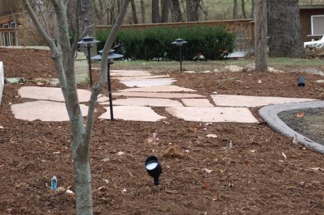 Before and After - Projects