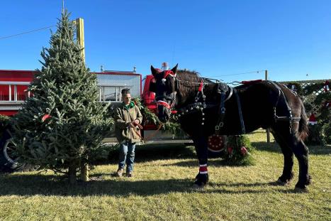 Christmas Petting Zoo &amp; Wagon Rides