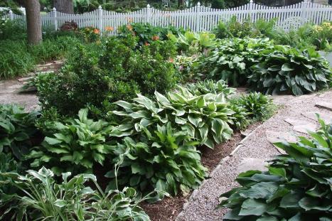 Shady Areas